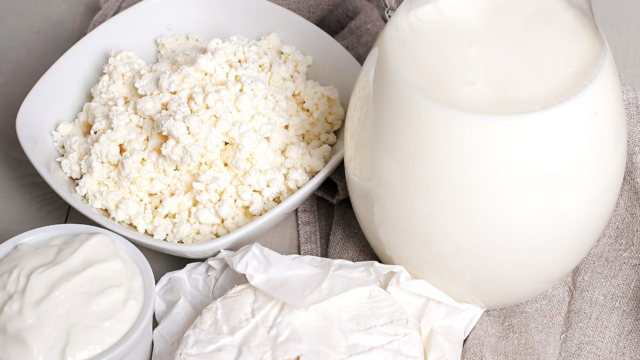 Food. Delicious milk products on the table