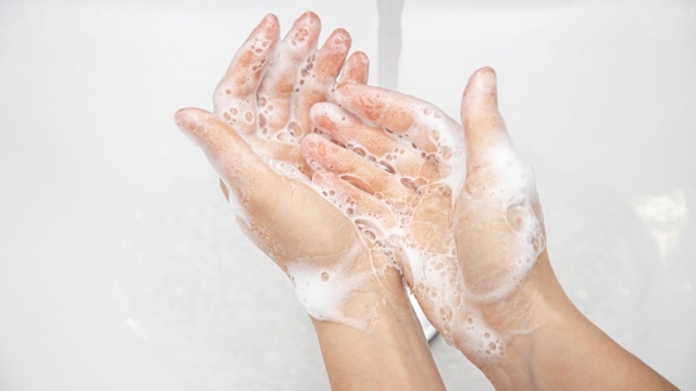 Women's hands in soapy foam. Hand hygiene and health concept.
