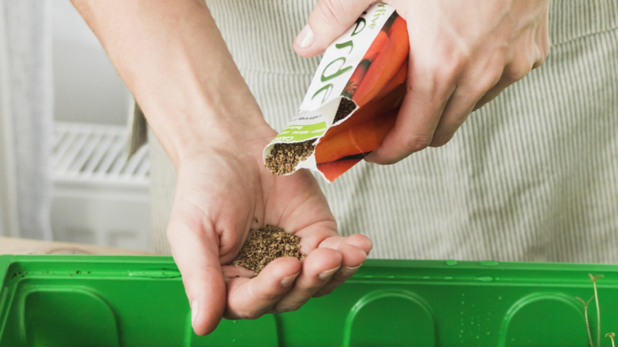 gardening-concept-with-female-hands