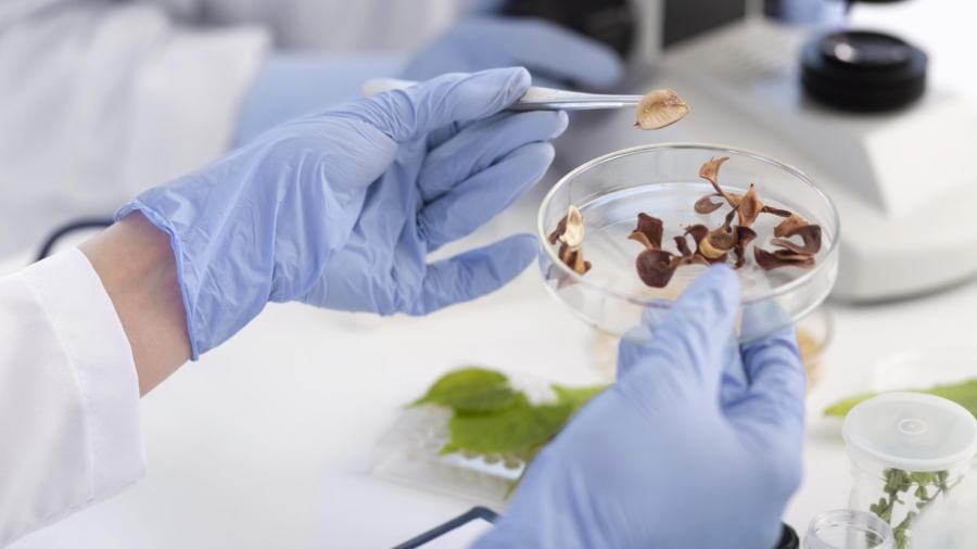 scientist-holding-petri-dish-close-up