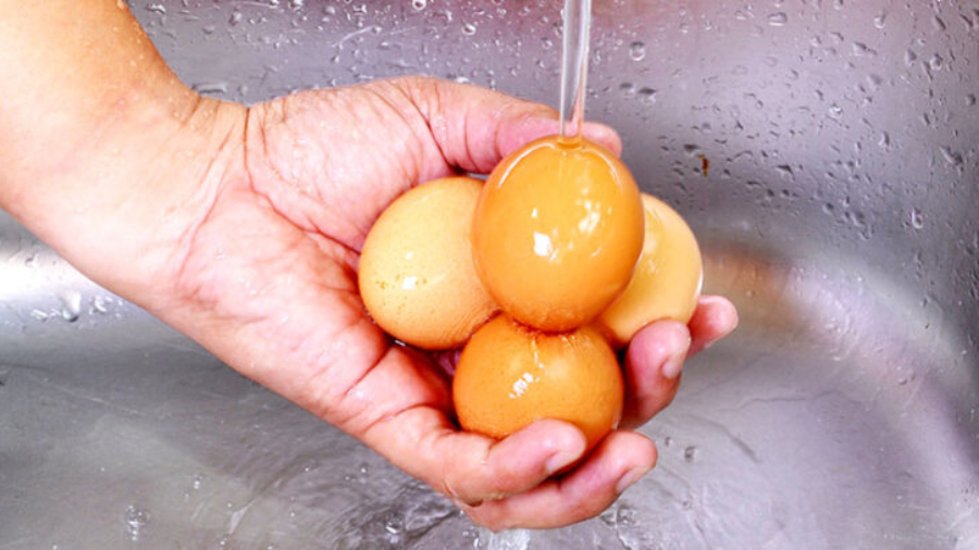 clean-eggs-washing-205784110-730x407