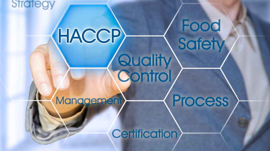 HACCP (Hazard Analyses and Critical Control Points) - Food Safety and Quality Control in food industry concept with business manager pointing to icons against a digital display.