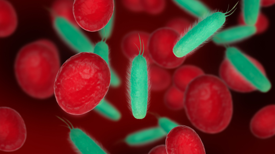 3D Illustration. Red blood cells with bacterias. Bacterial cells in blood. Scientific and medical concept.